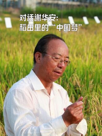 对话谢华安：稻田里的“中国梦”